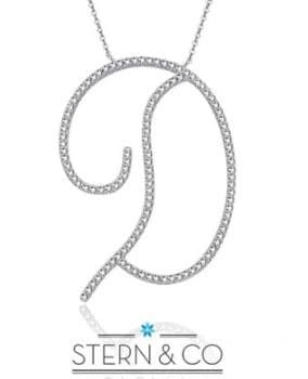 שרשרת אות D מכסף 925 13539