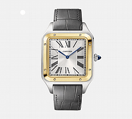 שעון Cartier W2SA0034 לגברים — W2SA0034 | Dialoria