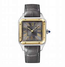 שעון Cartier W2SA0036 לגברים — W2SA0036 | Dialoria