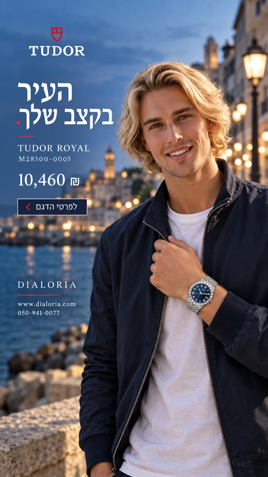 באנר tudor