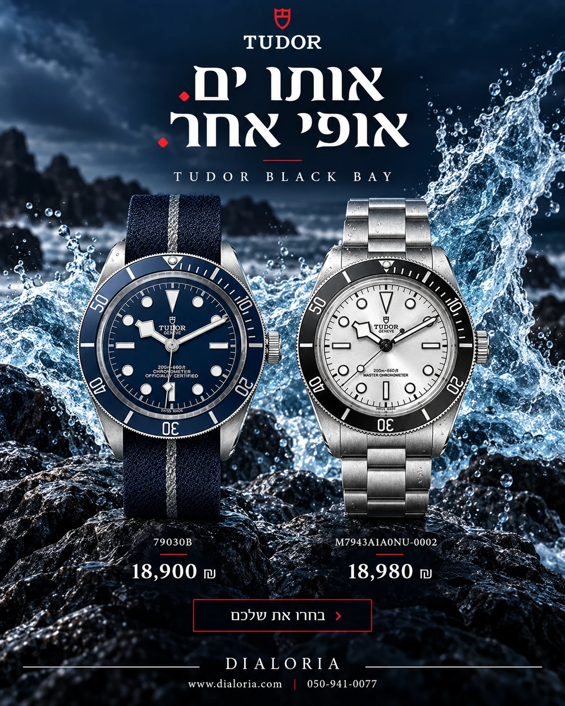באנר tudor